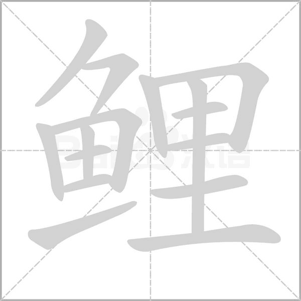 鯉的筆順動畫演示