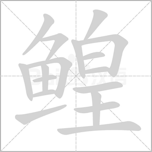 鰉的筆順動畫演示