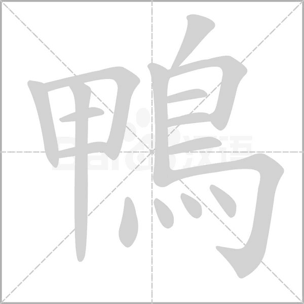 鴨的筆順動(dòng)畫(huà)演示