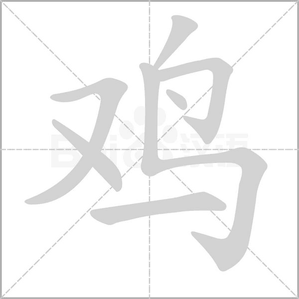 雞的筆順動畫演示