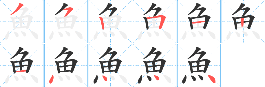 魚的筆順分步演示