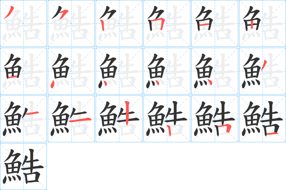 鯌的筆順分步演示