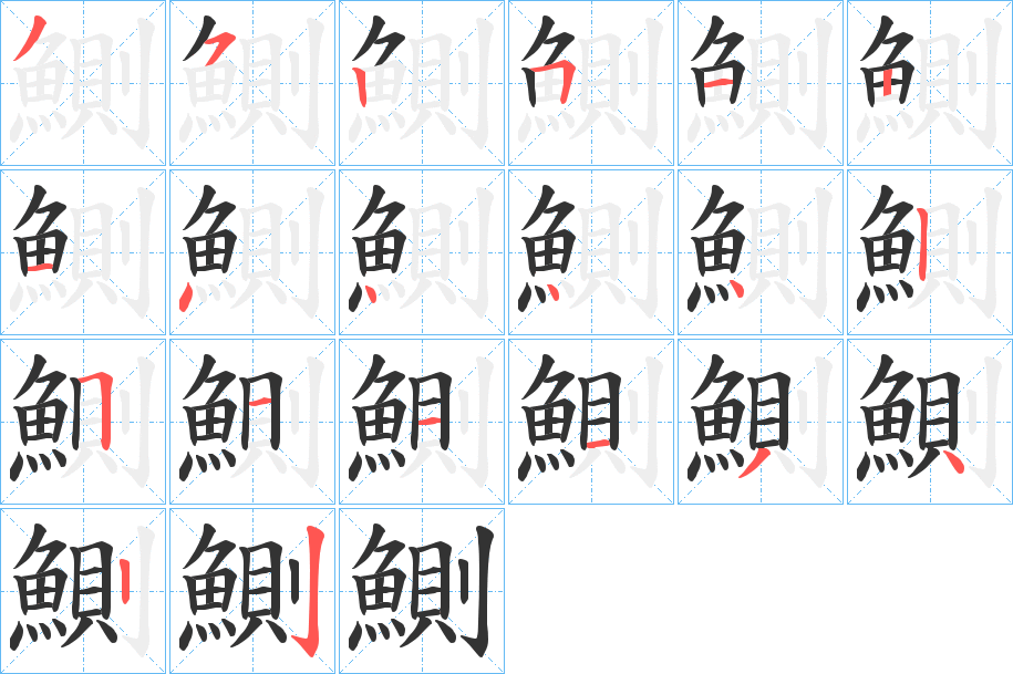 鰂的筆順分步演示