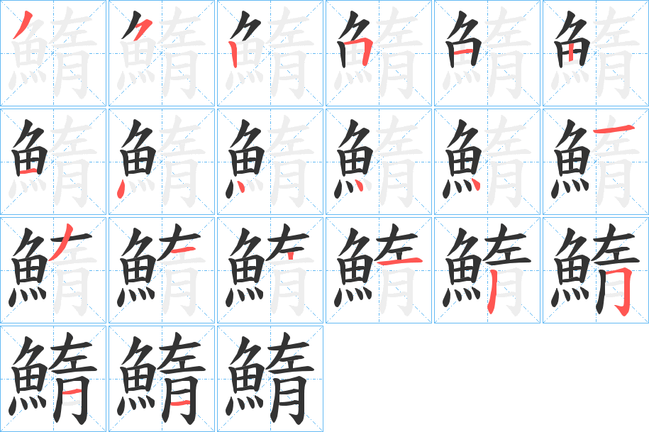 鰖的筆順分步演示
