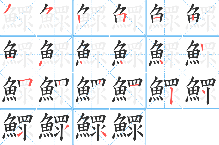 鰥的筆順分步演示