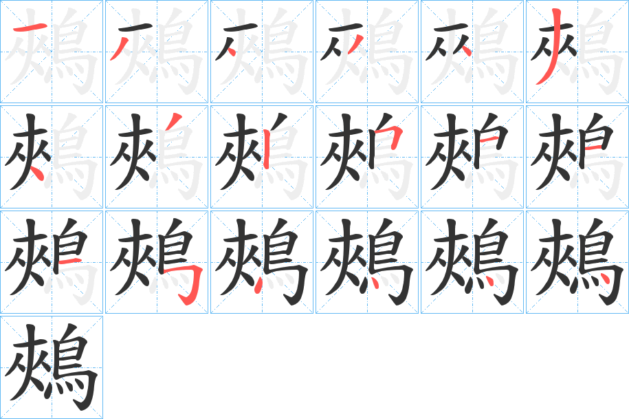 鵊的筆順分步演示