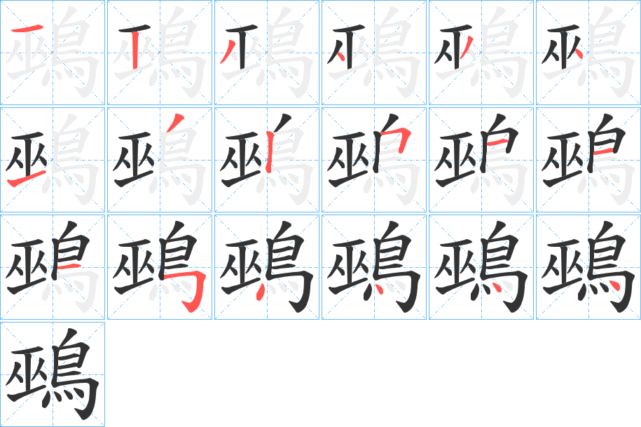 鵐的筆順分步演示