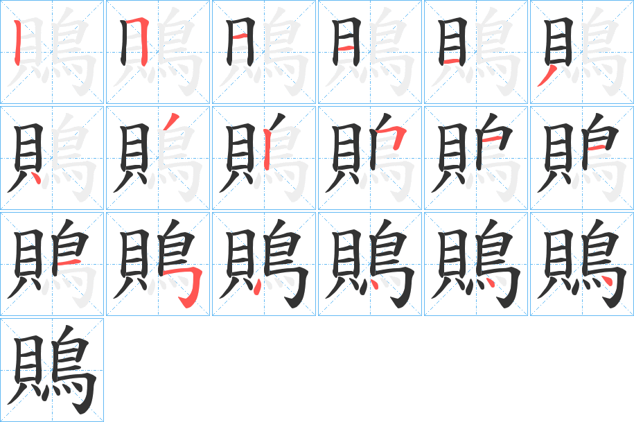 鵙的筆順分步演示
