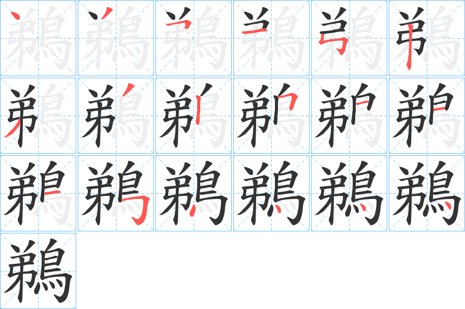鵜的筆順分步演示