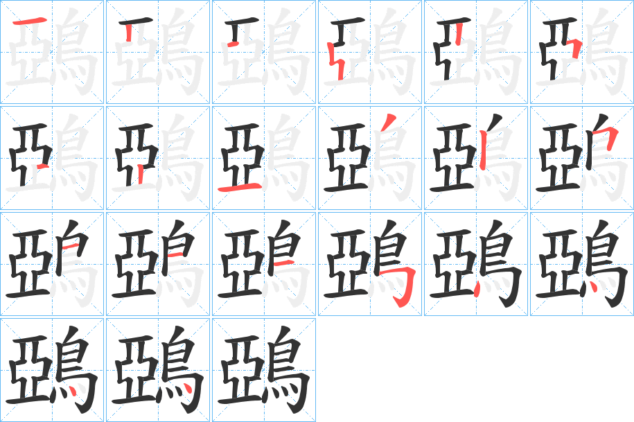 鵶的筆順分步演示