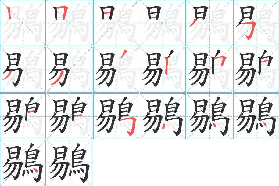 鶍的筆順分步演示