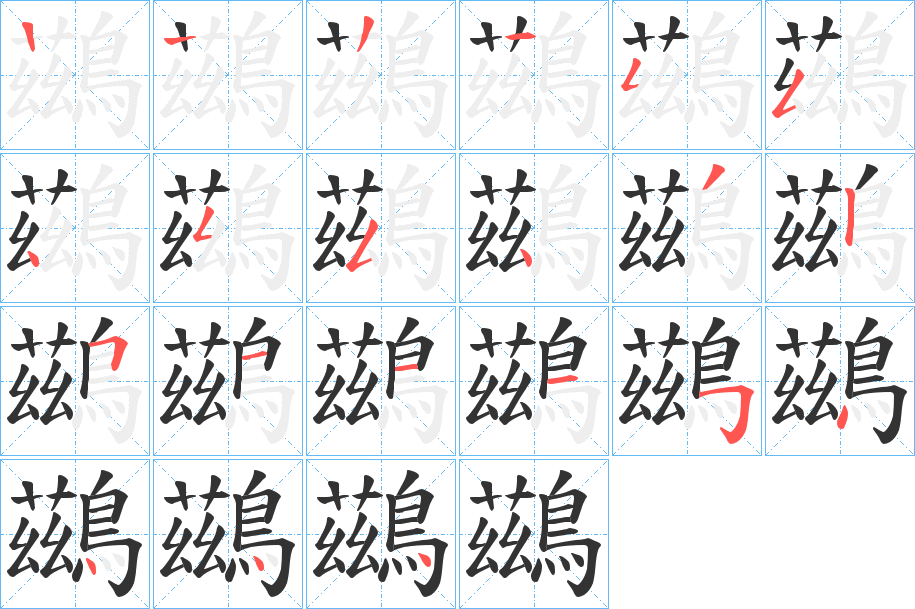 鷀的筆順分步演示