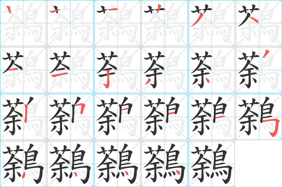 鷋的筆順分步演示