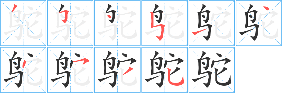 鴕的筆順分步演示