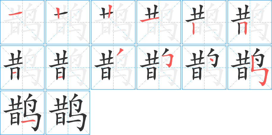 鵲的筆順分步演示